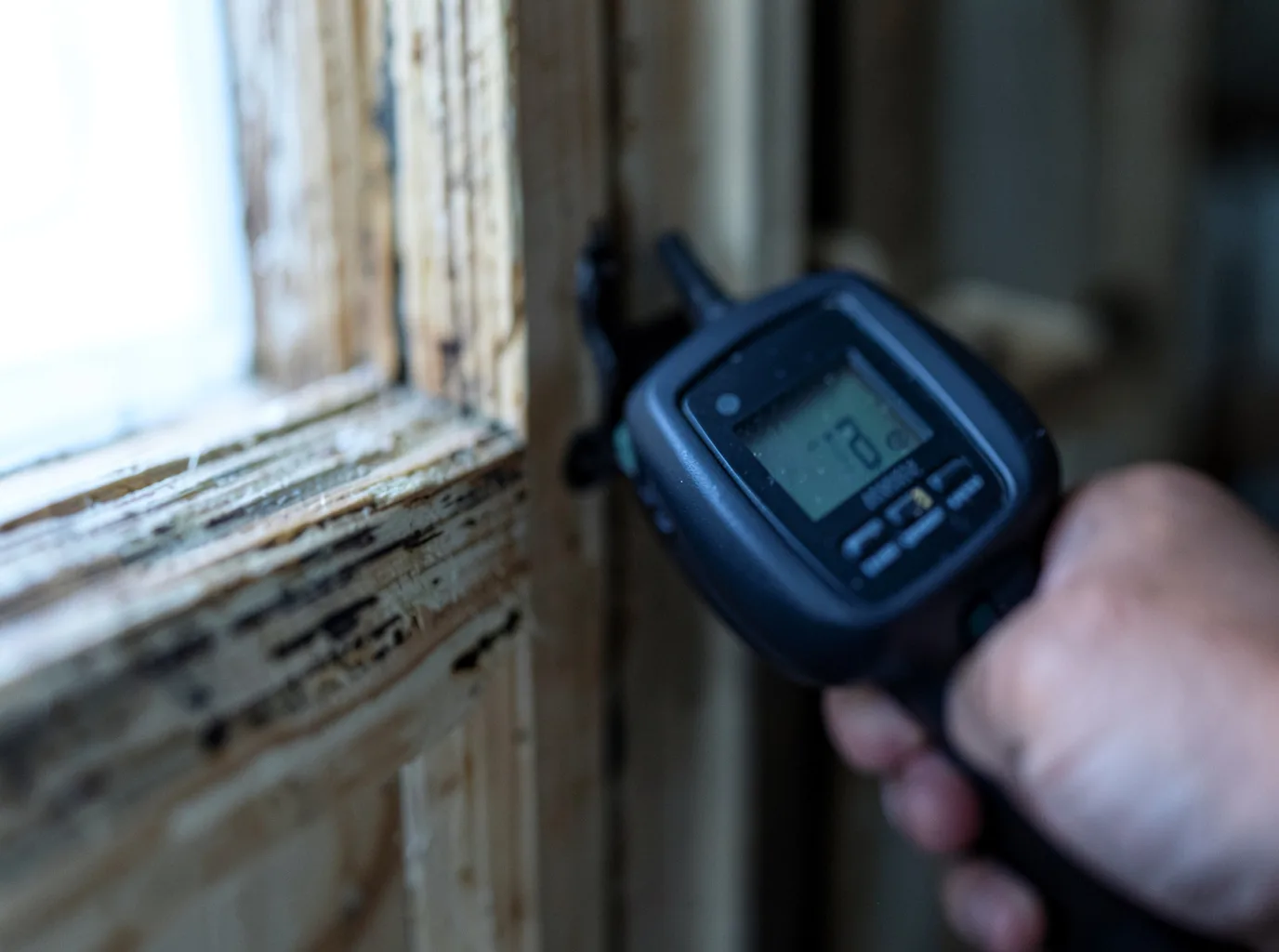 Moisture Inspection And Documentation in Ashland, VA